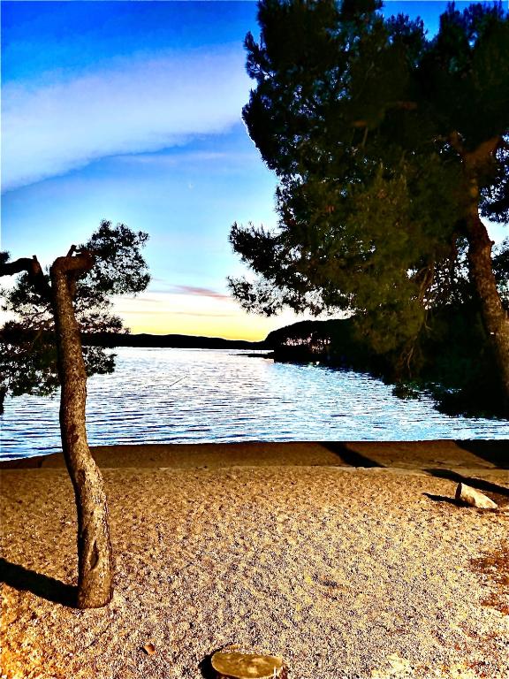 a tree sitting on a beach next to a body of water at Mobile Home David-Camp Soline in Biograd na Moru