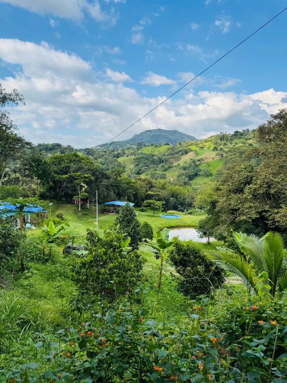 a river in a field with mountains in the background at Finca Lantana Oficial in Villeta