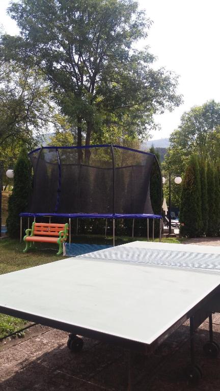 Stolní tenis v ubytování Hotel Perfect nebo okolí