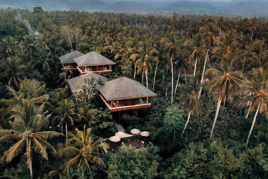 Luftaufnahme eines Resorts im Dschungel mit Palmen in der Unterkunft LOSTLindenberg in Pulukan