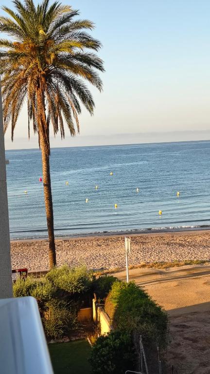 una palmera en una playa con el océano en Cunit Beach, en Cunit