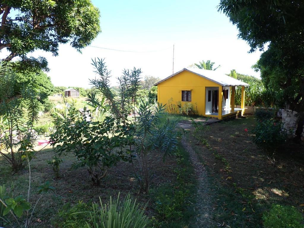 a small yellow house in the middle of a yard at La maison jaune in Nosy Be