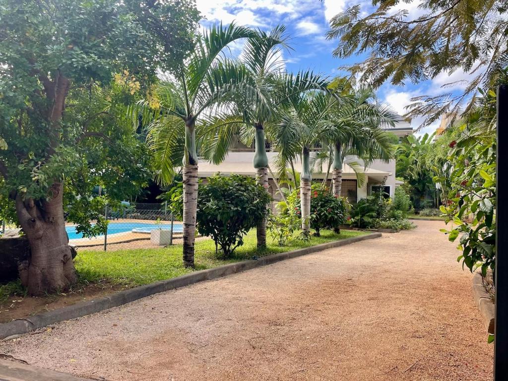 a house with palm trees in front of a driveway at La Casa Margot in Albion