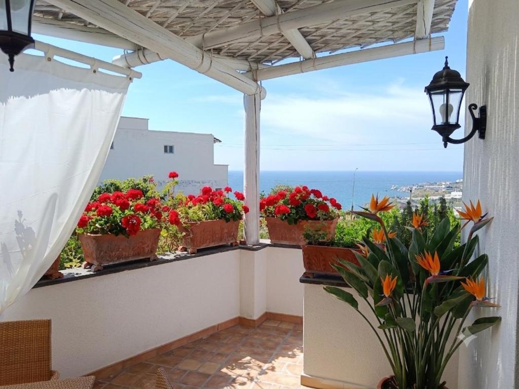 a balcony with flowers in potted plants and the ocean at Chez Marie Ischia in Forio d'Ischia