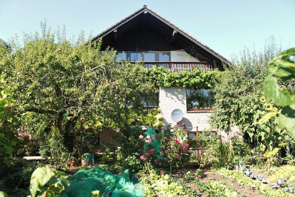 Zahrada ubytování Ferienwohnung Sonnengruss