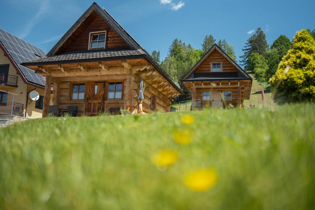 a log house in a field of green grass at Domek na Górkach in Krościenko