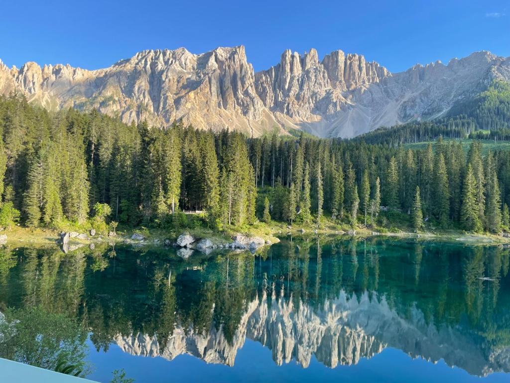 a lake with trees and mountains in the background at Fedaia Joy B&B in Canazei