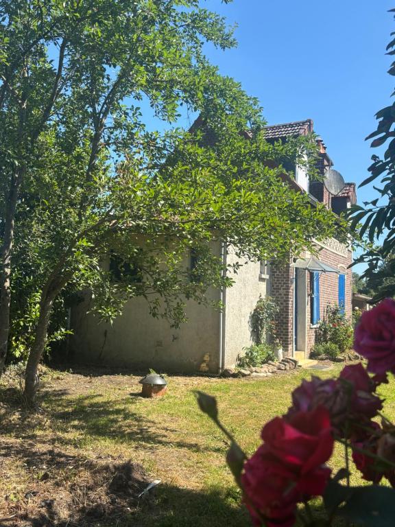 a house with a tree and flowers in the yard at Gîte de campagne in Candor