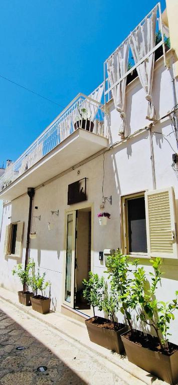 a white house with potted plants in front of it at Lunà - Le Dimore - in Canosa di Puglia