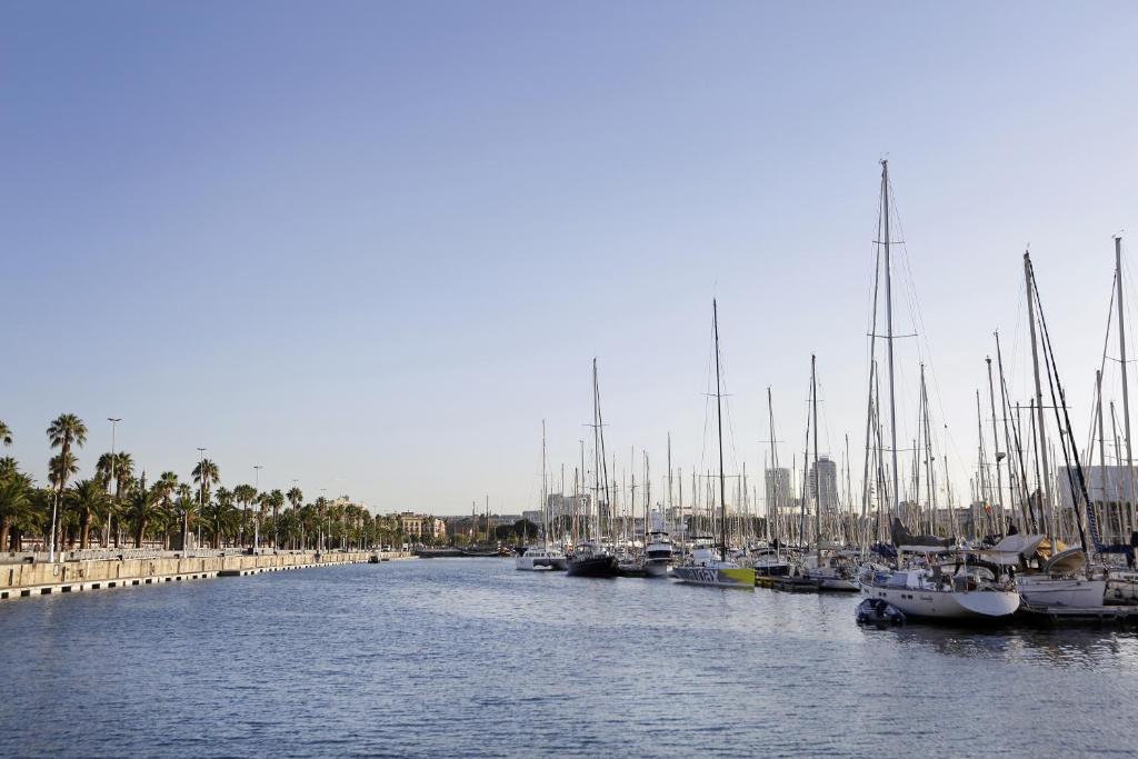 a group of boats are docked in a harbor at Arc La Rambla in Barcelona