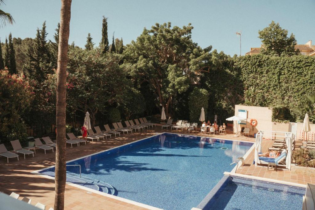 a swimming pool with chairs and a palm tree at Hotel ROC Oberoy - Adults Only in Paguera