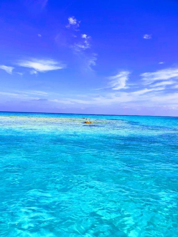 VelaaOlhu - Turtle Hive Thulusdhoo - View 24