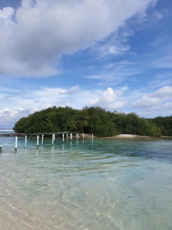 VelaaOlhu - Turtle Hive Thulusdhoo - View 26