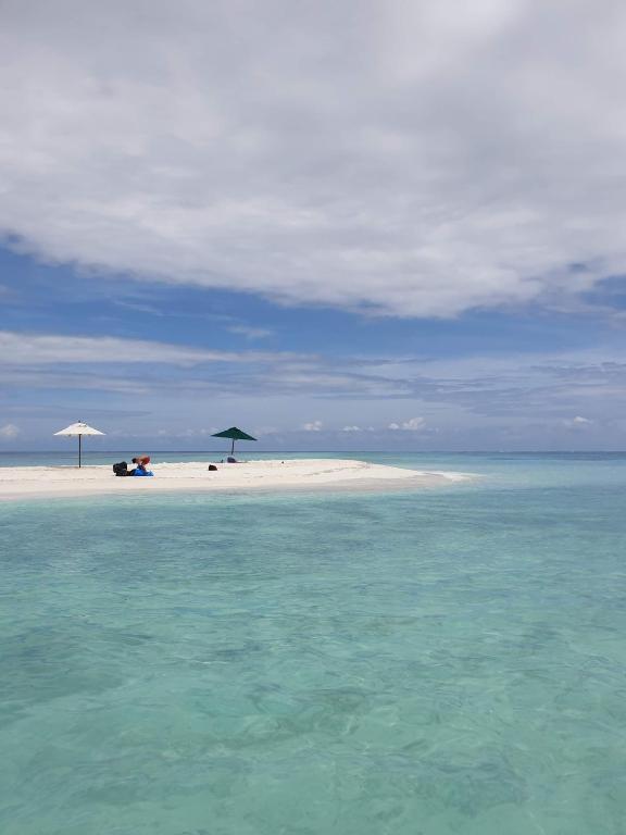 VelaaOlhu - Turtle Hive Thulusdhoo - View 27