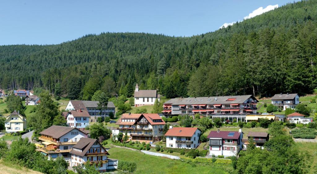 Příroda nedaleko hotelu