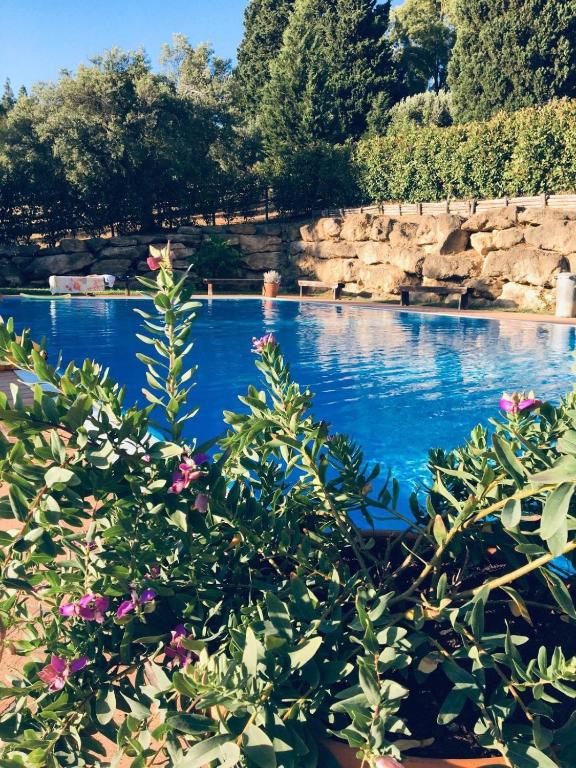 a large swimming pool with blue water and flowers at Agriturismo DonnoMarco in Simeri