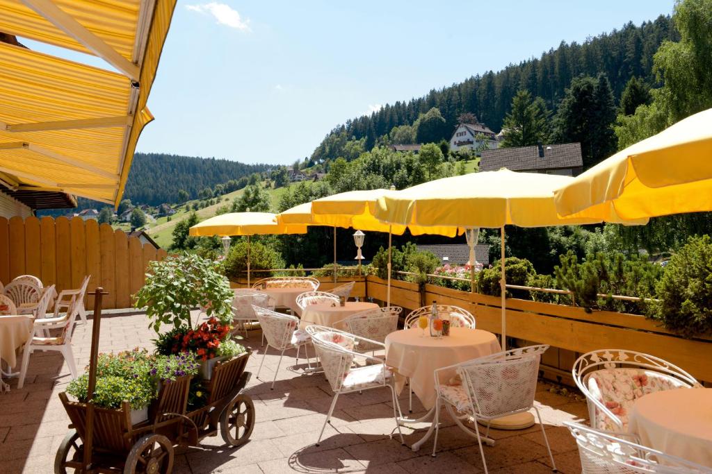 Nespecifikovaný výhled na hory nebo výhled na hory při pohledu z hotelu