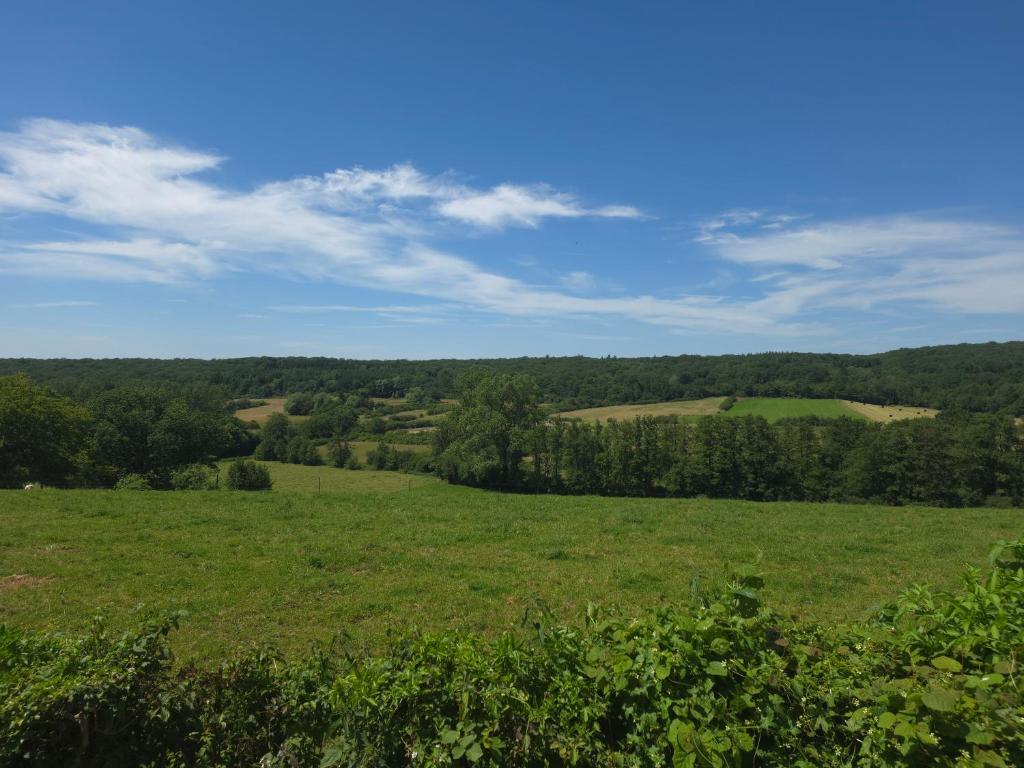 a large green field with trees in the distance at La caravane de l'enchanteresse in Philippeville