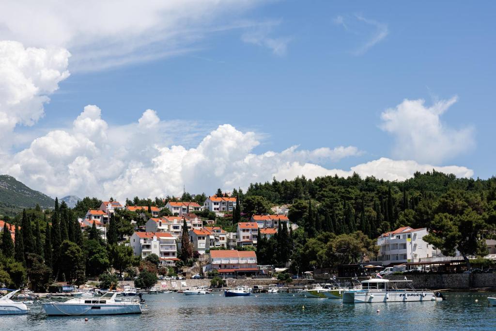 a group of boats are docked in a harbor at Luxury room Sunset Cavtat in Cavtat