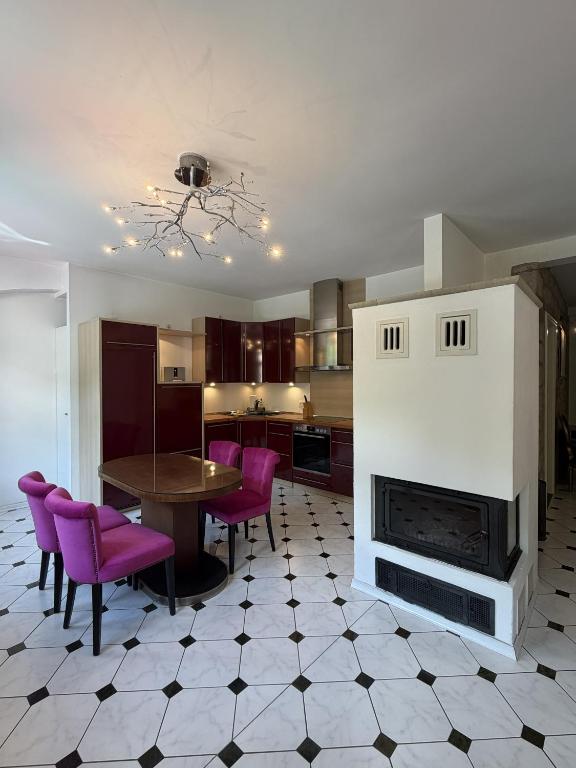 a kitchen with a table and chairs and a fireplace at Apartmenthaus Albrechtsburg in Bad Schandau