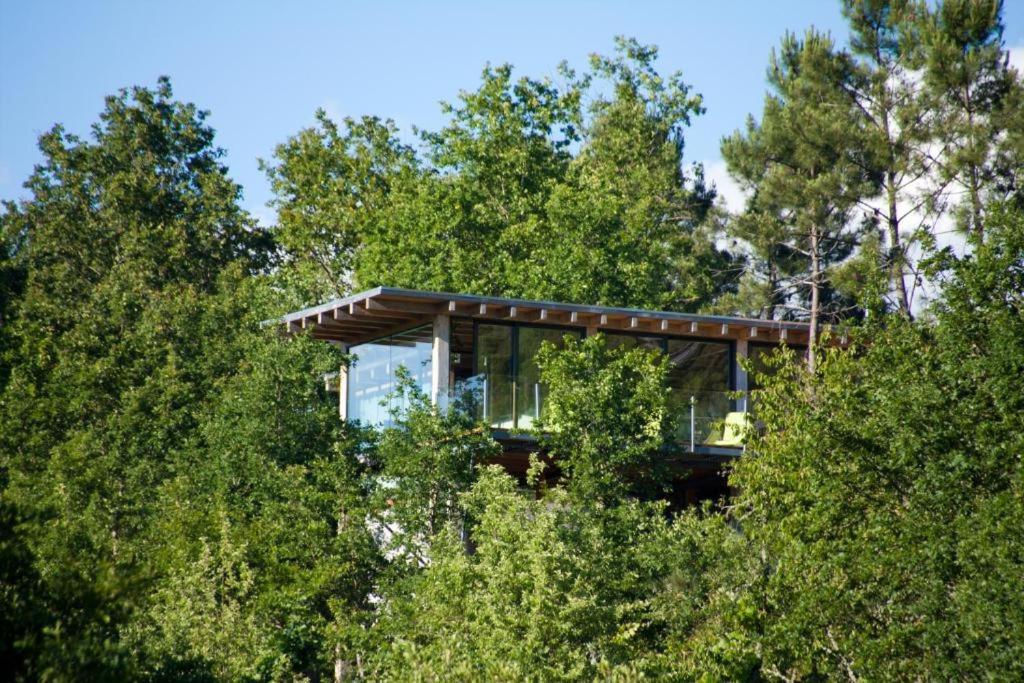 a glass house on the trees in the forest at Retiro Da Arminda in Canedo