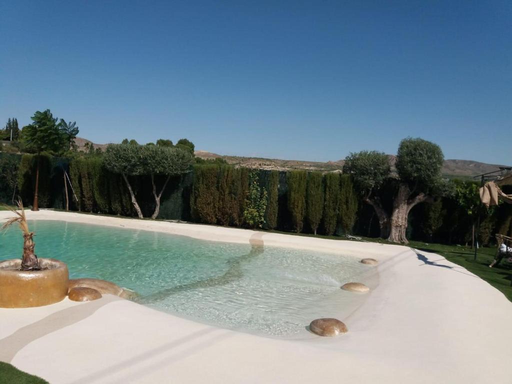 a swimming pool in a yard with trees at Villa CarlaSophia in Calasparra