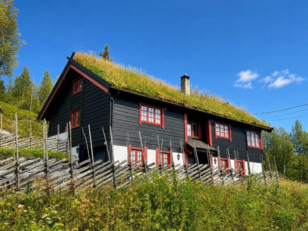 a black house with a grass roof at Spacious cabin with beautiful Geilo views in Geilo