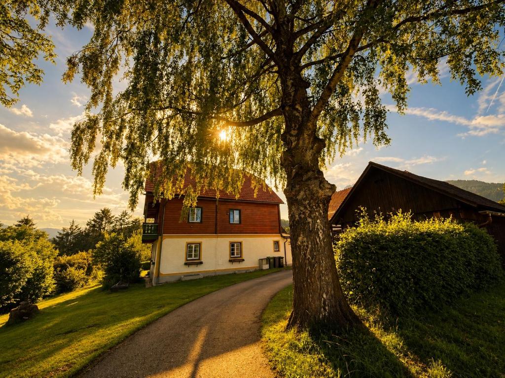 a tree on a road in front of a house at Landhaus Sunnberg in Gersdorf