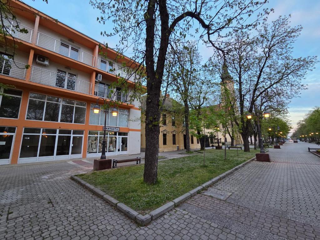 ein Gebäude mit einem Baum vor einer Straße in der Unterkunft SaDa Centar in Apatin