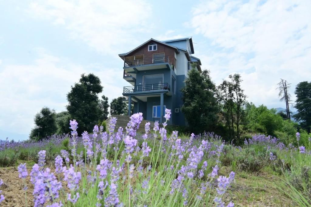a house on top of a hill with purple flowers at Seraahi Hills Resort in Bhadarwāh