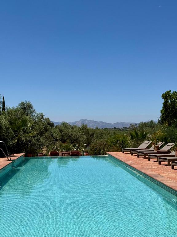 a large swimming pool with chairs and trees at La Guzmana de Ronda in Ronda
