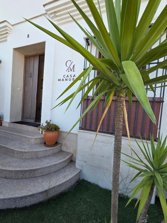 a palm tree in front of a building with stairs at CasaManuelaMonesterio in Monesterio