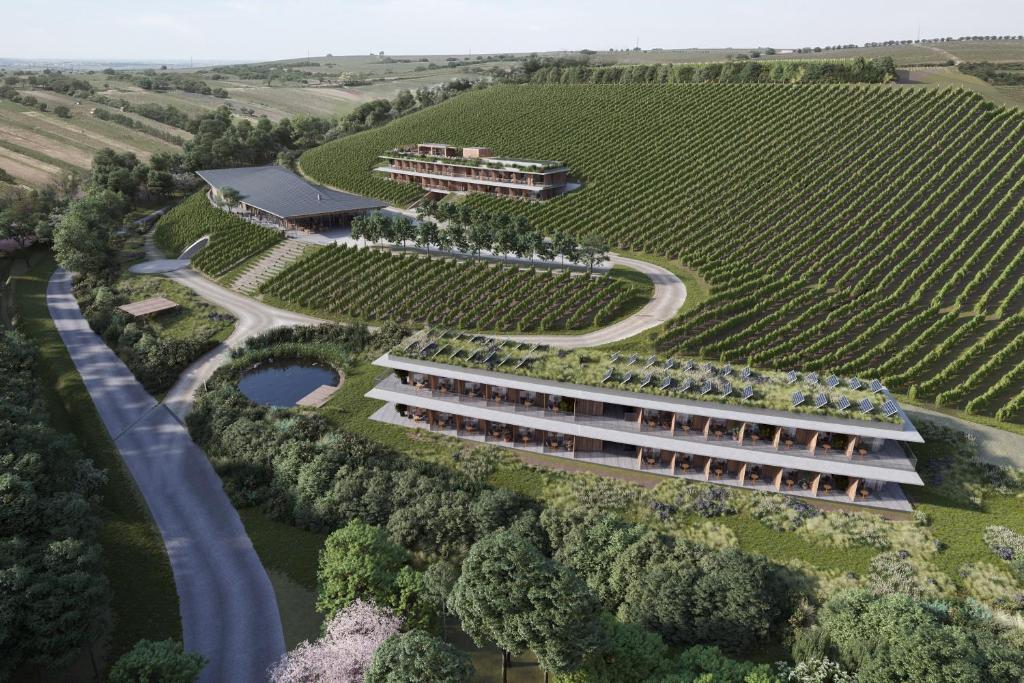 an architectural rendering of a building in a vineyard at ARTEVINI Resort & Winery in Velké Pavlovice
