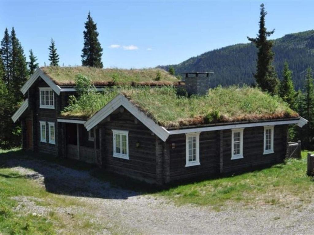 a house with a grass roof on top of it at 4 star holiday home in Fåvang in Favang