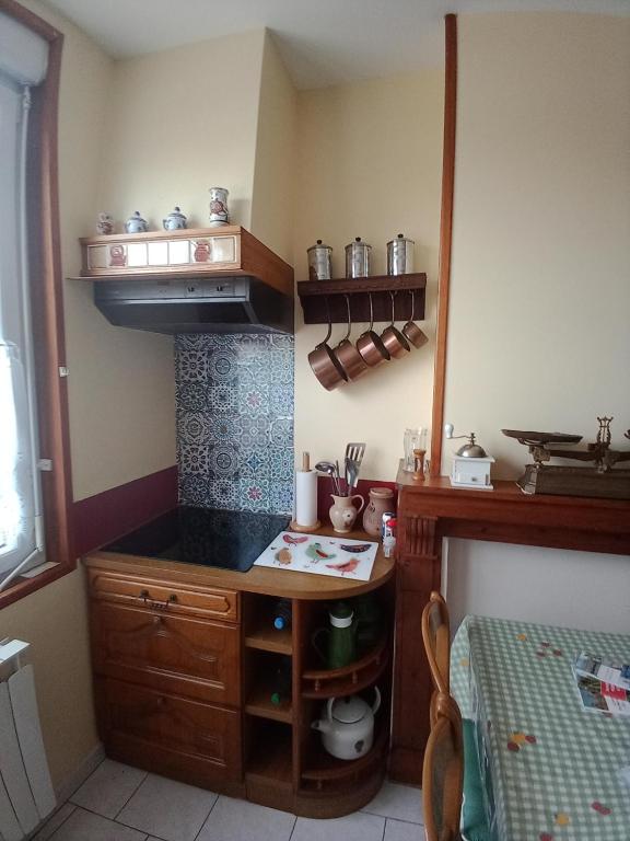 a kitchen with a counter with a stove in it at La maison d'Arthur et Armelène in Rely