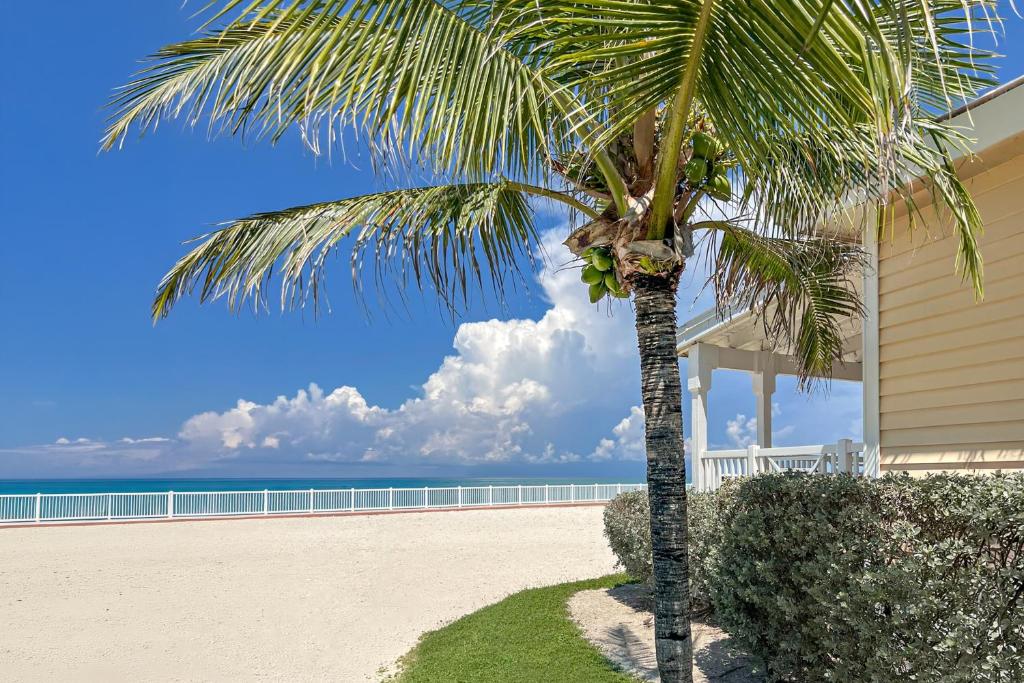 a palm tree in front of a house at Westgate Bimini Bay in Bailey Town