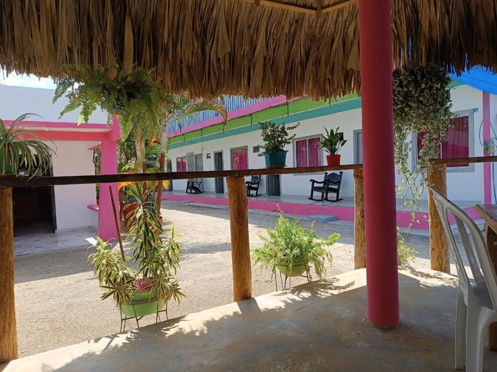 an outside view of a building with potted plants at Alojamiento Matuzalen in Coveñas