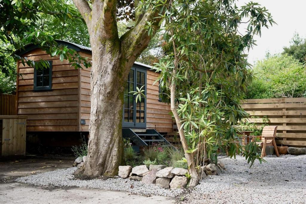 a wooden cabin with a tree in front of it at Shepherds Hut in Penzance in Newlyn