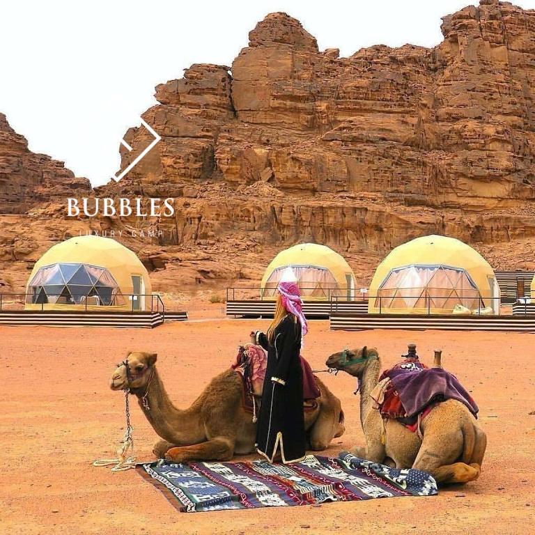a woman standing next to three camels in the desert at BUBBLES LUXURY CAMp in Wadi Rum