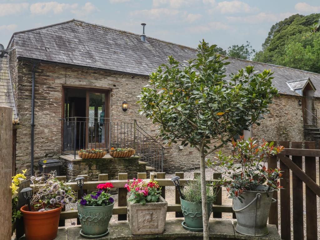 a group of potted plants in front of a house at Mixit Cottage in Kingsbridge
