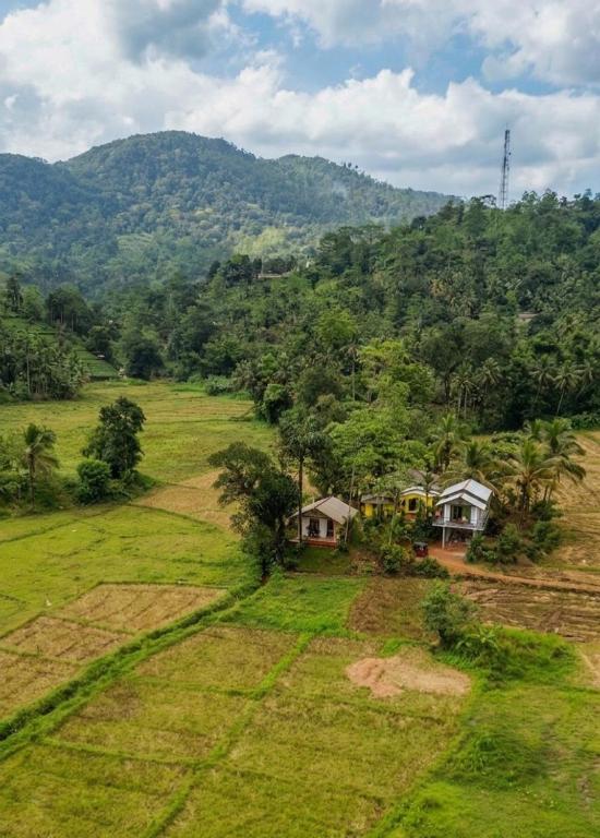 an aerial view of a field with houses and a mountain at Forest & Fields Sinharaja in Deniyaya