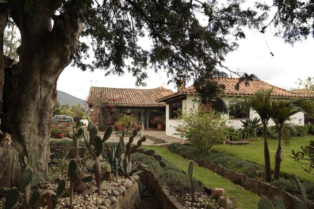 a house with a lot of cactus in the yard at Finca Villa Sofía in Villa de Leyva