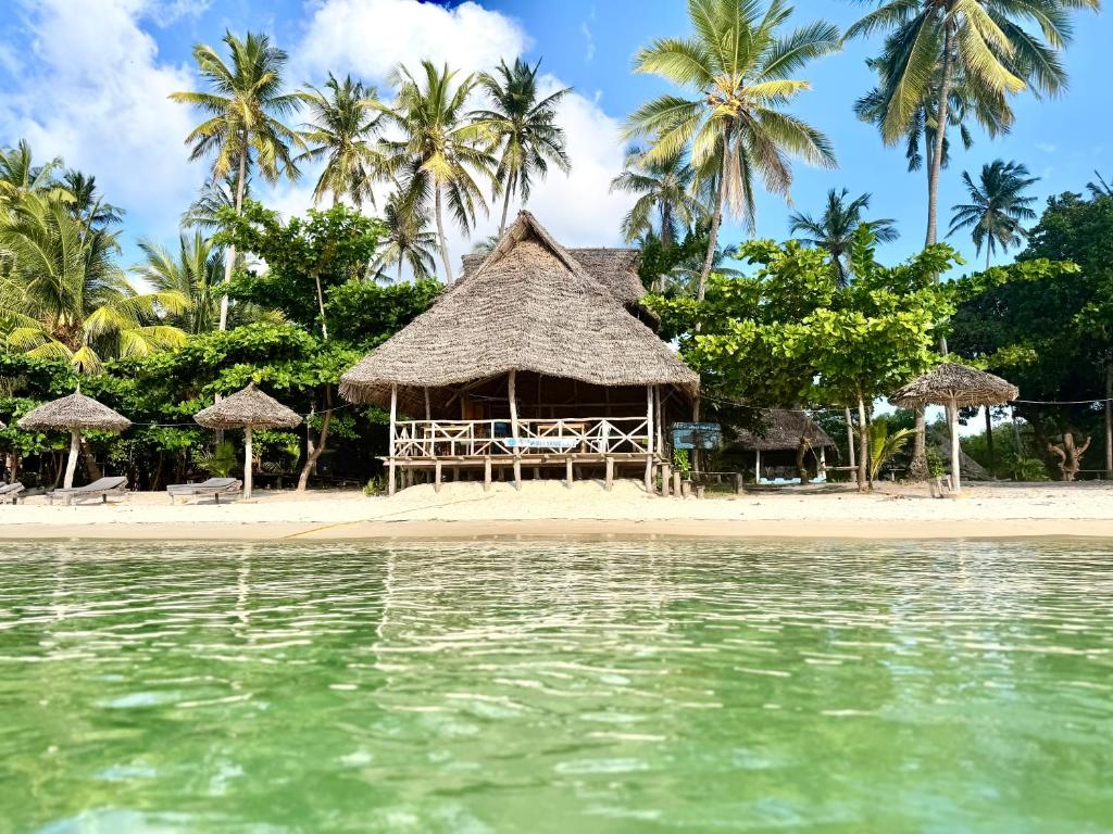 a hut on a beach with palm trees and the water at Afro Beach Safari in Kilindoni