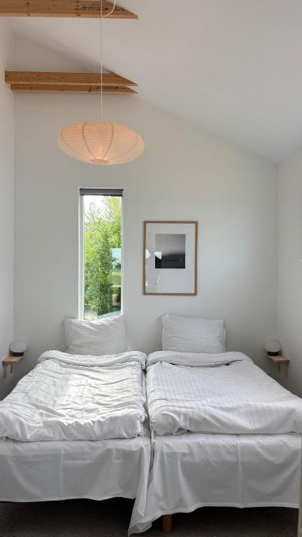 two white beds in a room with a window at Viking Surf & Stay in Klitmøller