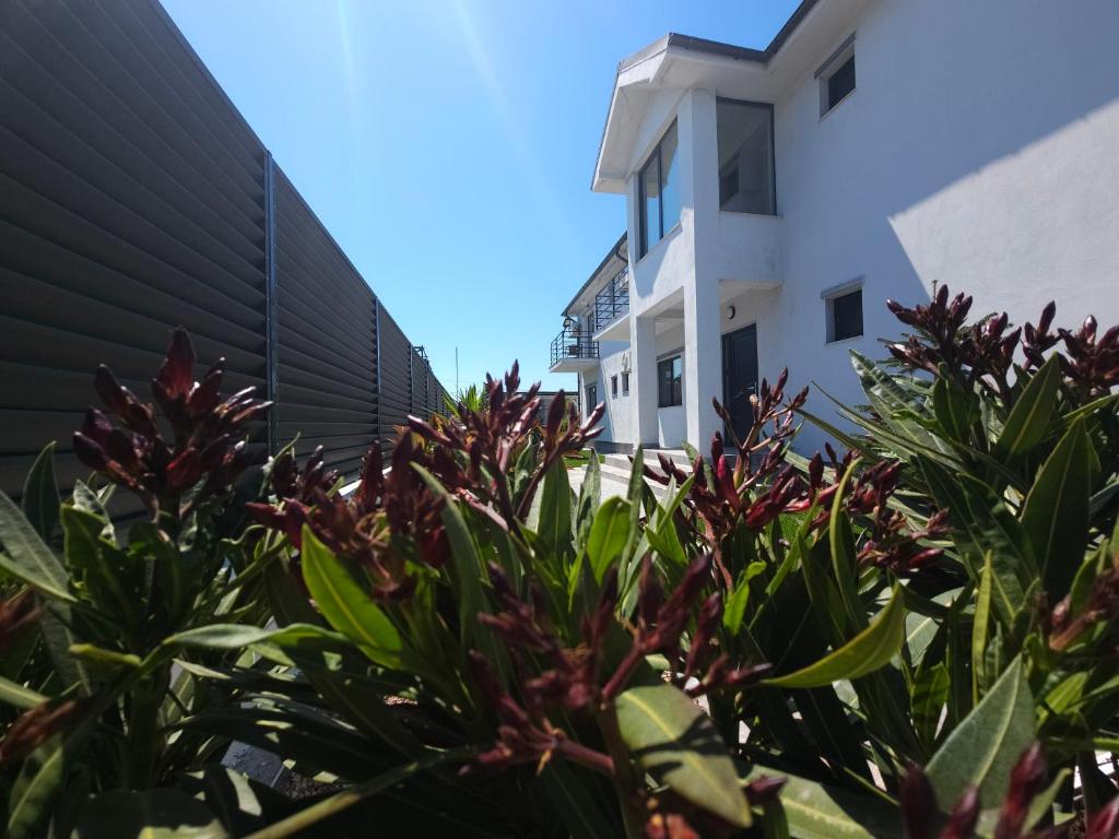 a hedge of plants in front of a building at Vila La Fernando in Tuzla