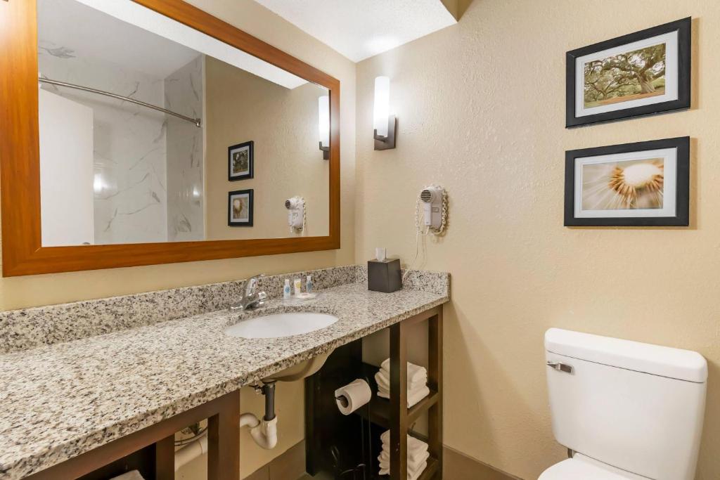 Comfort Suites At the University - Suite Mit Kingsize-Bett – Nichtraucher