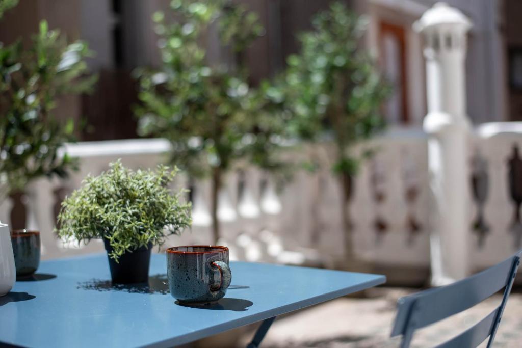 Appartment Climatisé - with AC & small cosy room - Private rare Terrace - Centre Toulouse