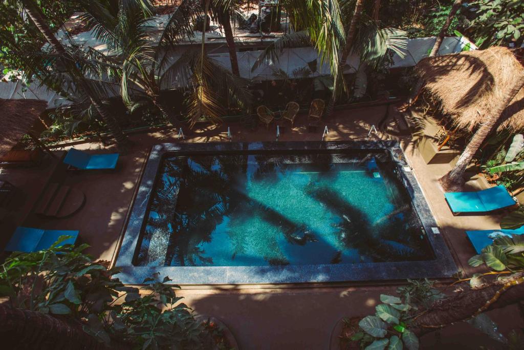 an overhead view of a swimming pool in a backyard at Alpa Viram Retreat Goa in Mandrem