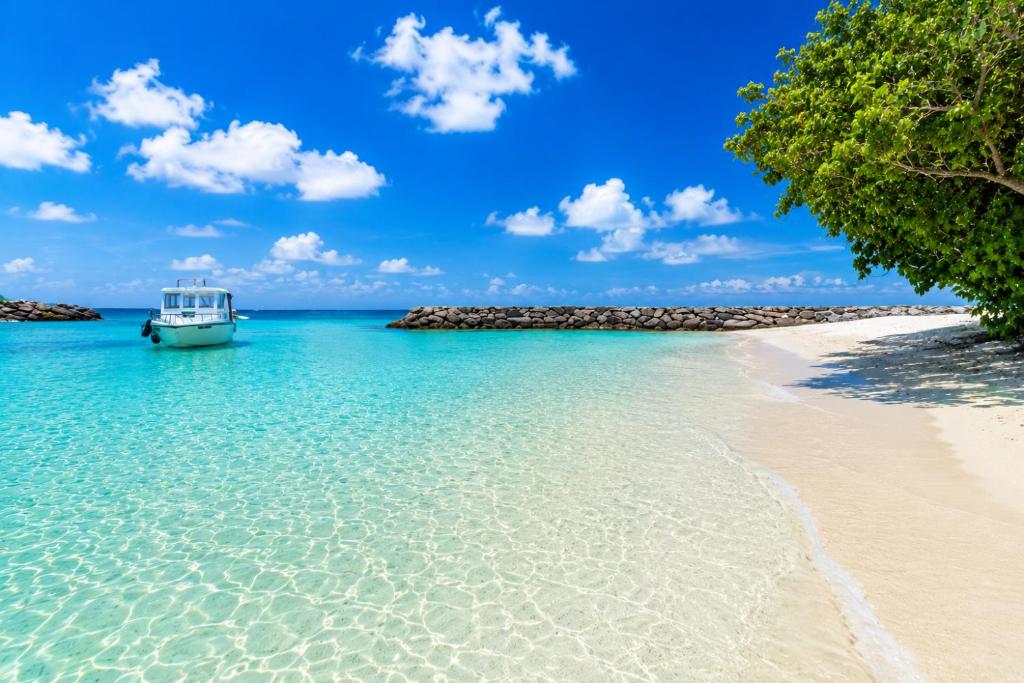 Ocean Blue Lagoon Maldives - View 38
