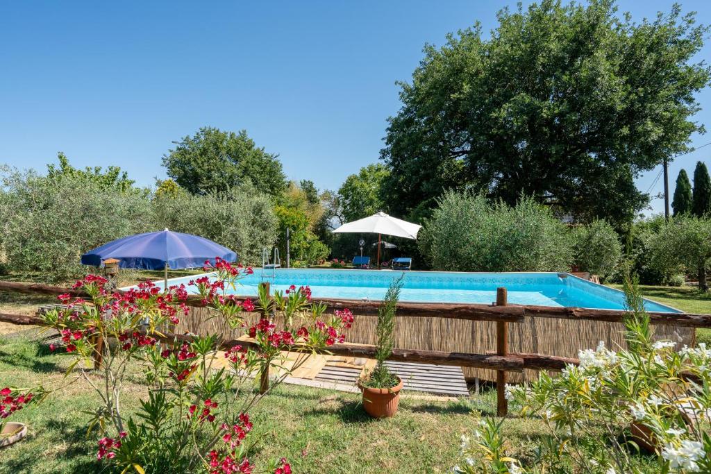 a swimming pool in a garden with flowers at Casa Vacanze Mongili - Il Moro in Chiusi